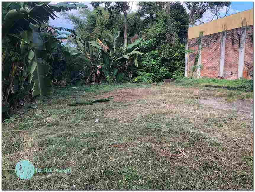Dalung, Canggu, Bali, ,Land,For Sale,1084