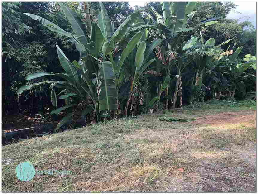 Dalung, Canggu, Bali, ,Land,For Sale,1084