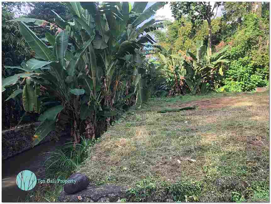 Dalung, Canggu, Bali, ,Land,For Sale,1084