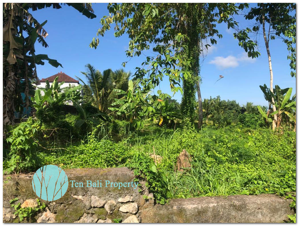Tabanan, Bali, ,Land,For Sale,1094