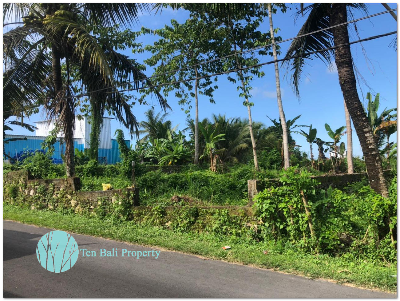 Tabanan, Bali, ,Land,For Sale,1094