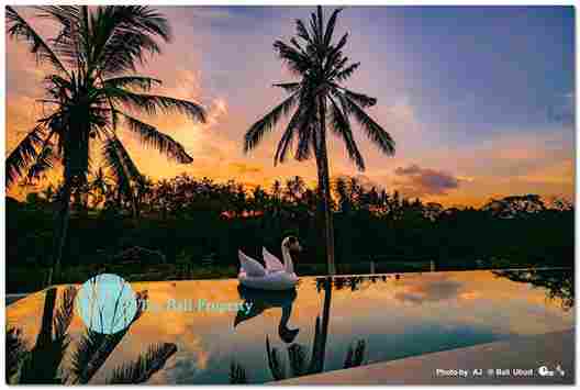Ubud, Bali, Bali, 5 Bedrooms Bedrooms, ,6 BathroomsBathrooms,Villa,For Sale,1103