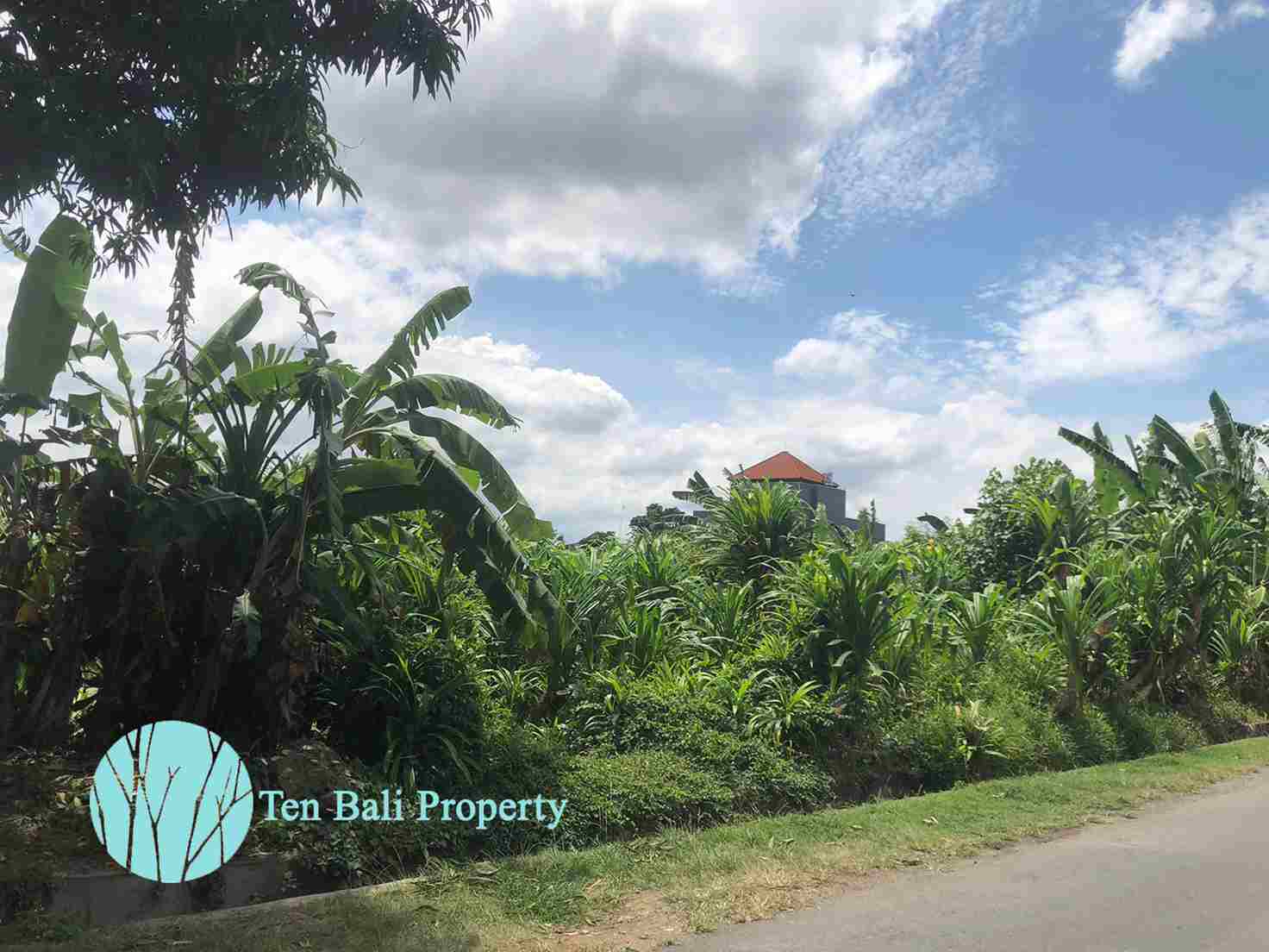 Buduk, Pererenan Canggu, Bali, ,Land,For Sale,1126