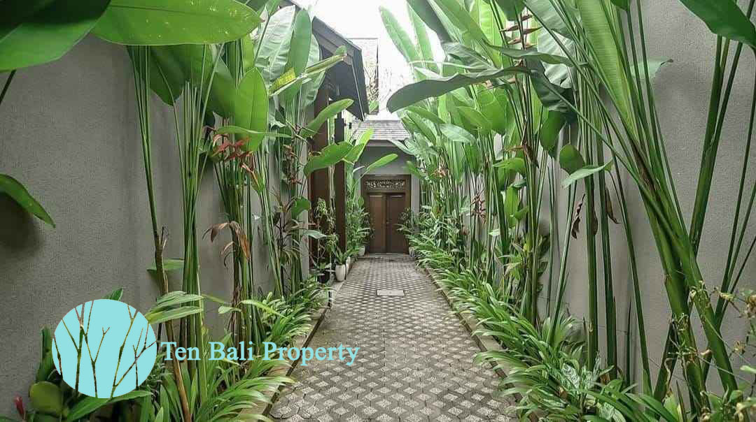 Seminyak, Bali, 3 Bedrooms Bedrooms, ,3 BathroomsBathrooms,Villa,For Rent,1129