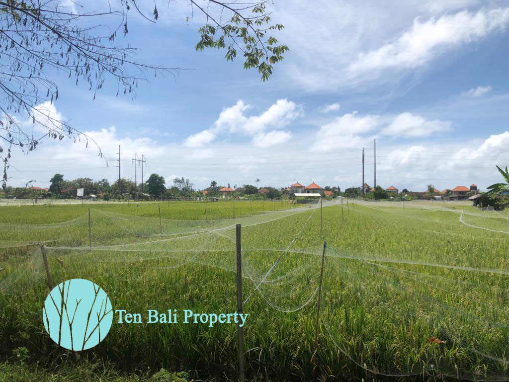 Renon Denpasar, Bali, ,Land,For Sale,1130