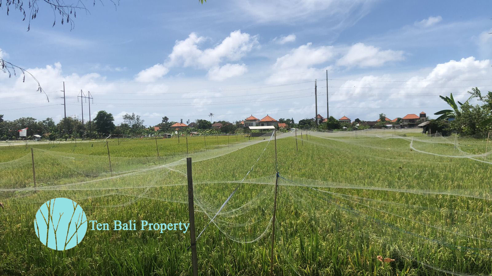 Renon Denpasar, Bali, ,Land,For Sale,1130