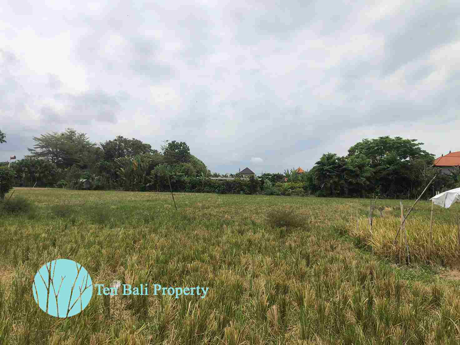 Renon Denpasar, Bali, ,Land,For Sale,1137