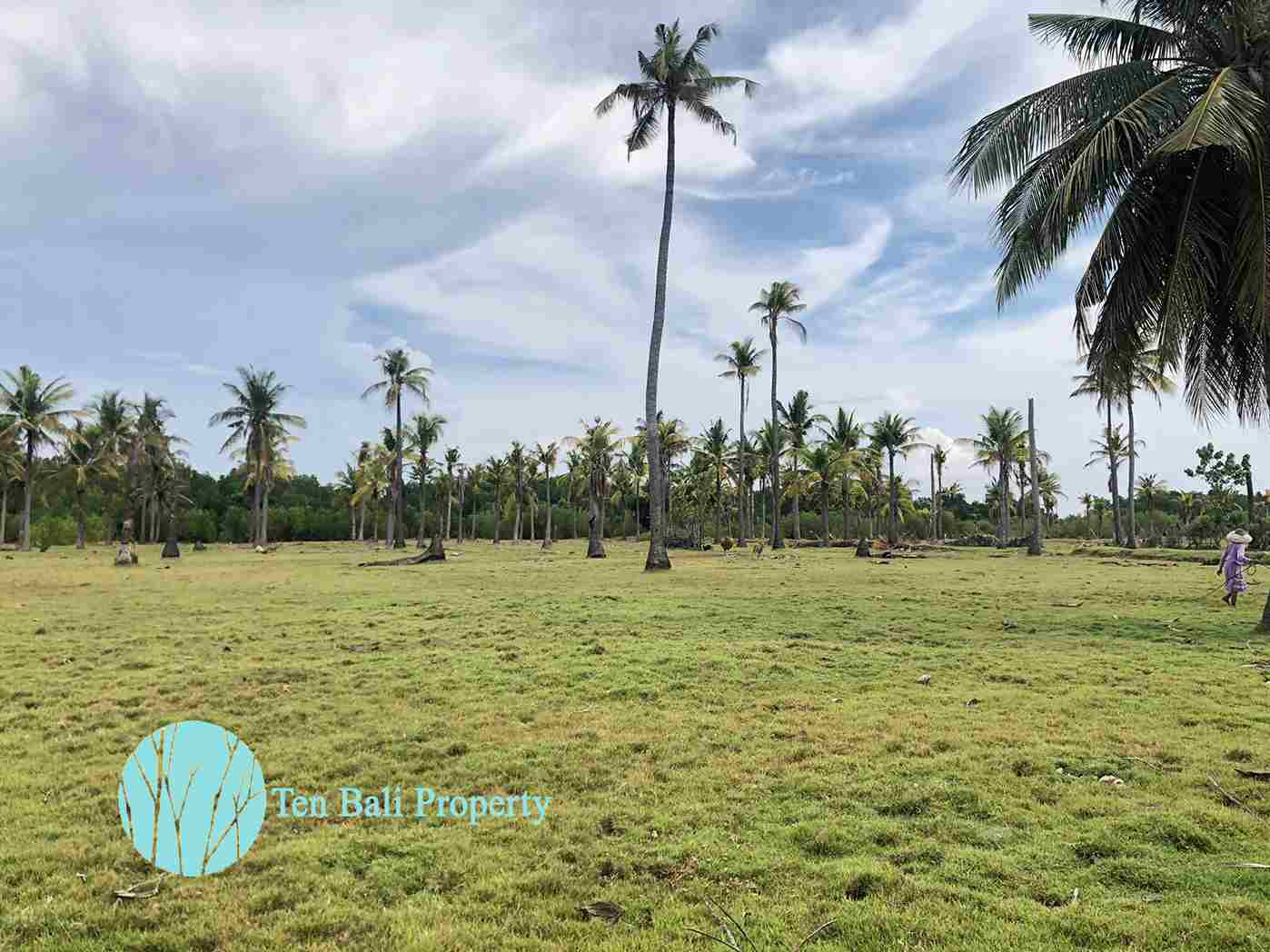 Sumberkima, Singaraja, Bali, ,Land,For Sale,1150