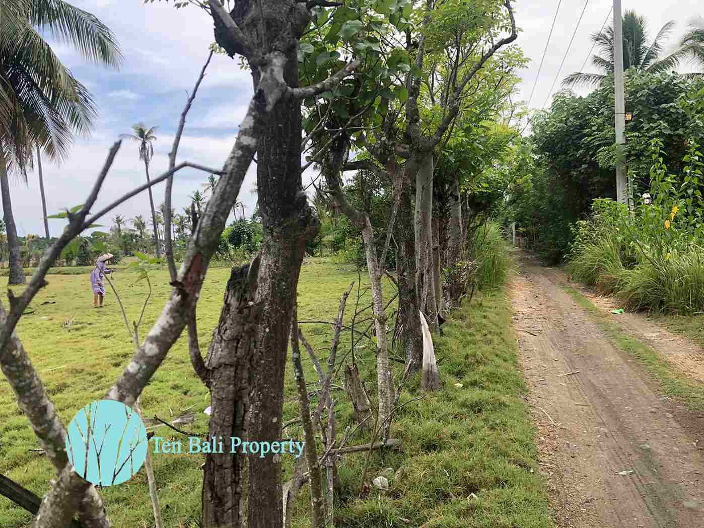 Sumberkima, Singaraja, Bali, ,Land,For Sale,1150