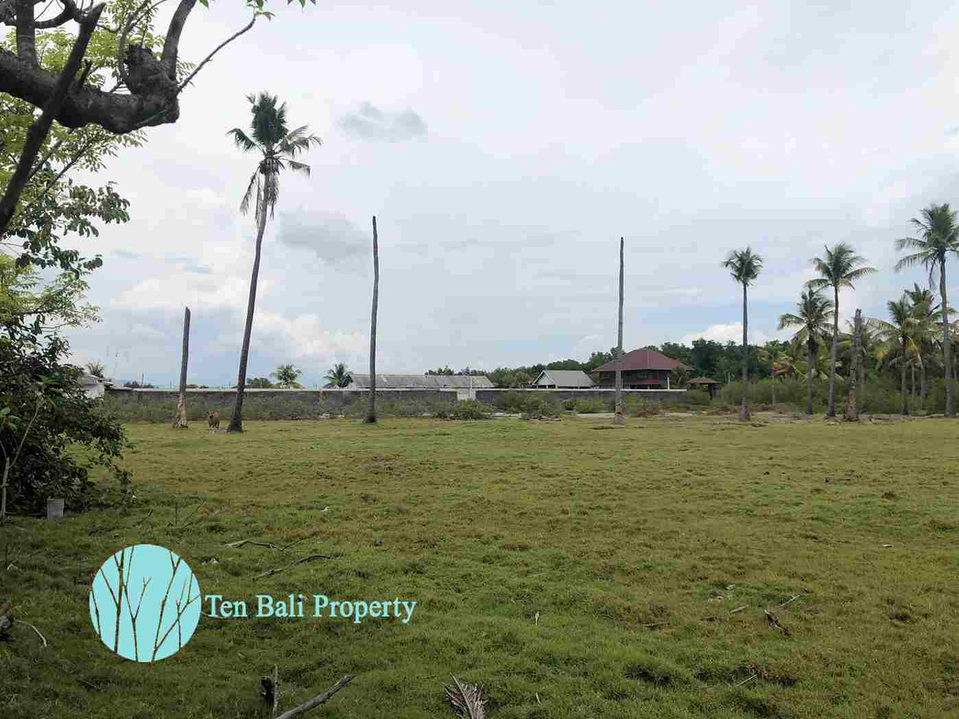 Sumberkima, Singaraja, Bali, ,Land,For Sale,1150
