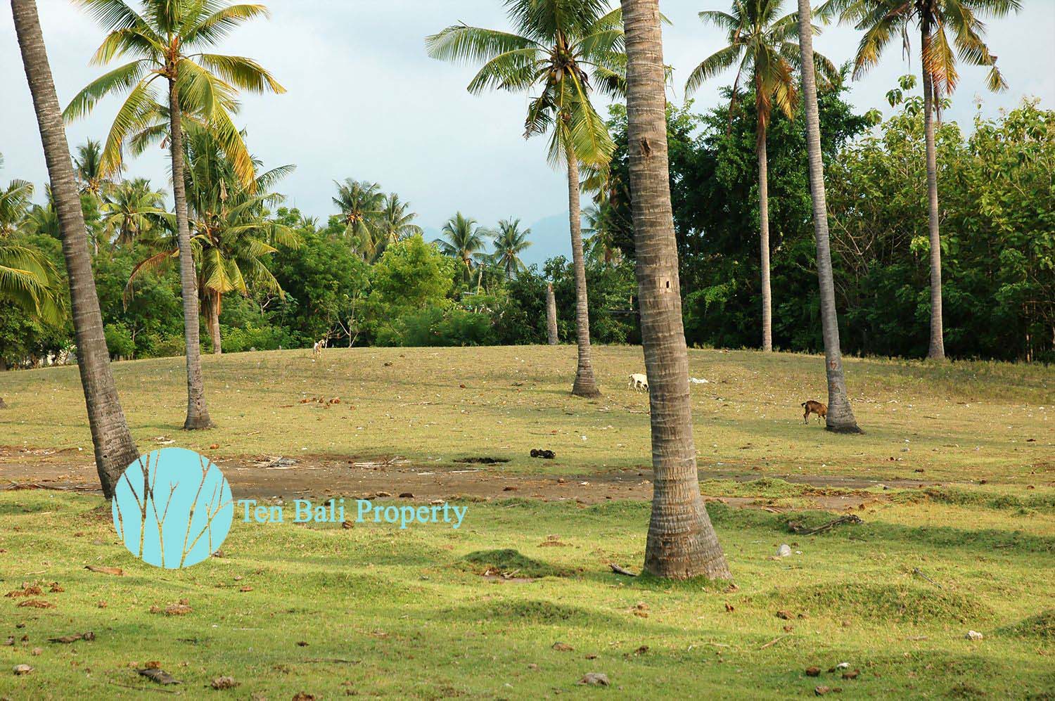 Sumberkima, Singaraja, Bali, ,Land,For Sale,1150