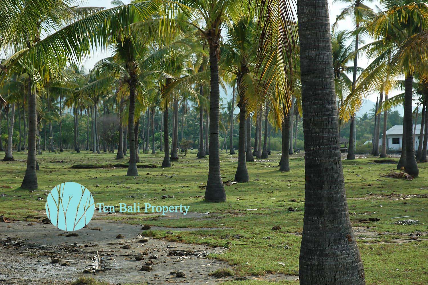 Sumberkima, Singaraja, Bali, ,Land,For Sale,1150