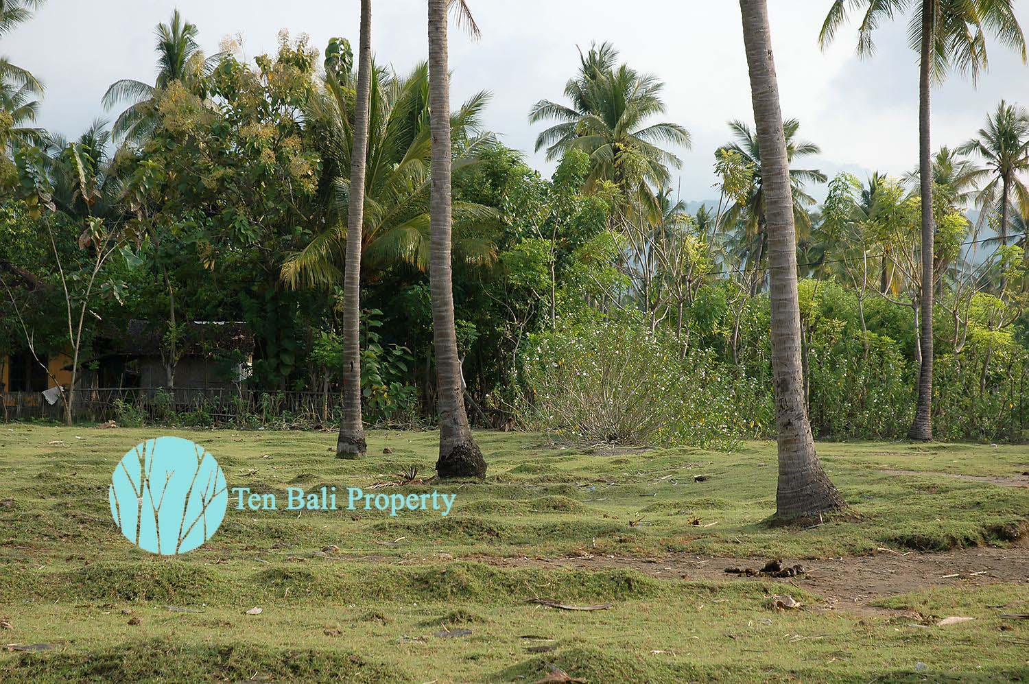 Sumberkima, Singaraja, Bali, ,Land,For Sale,1150