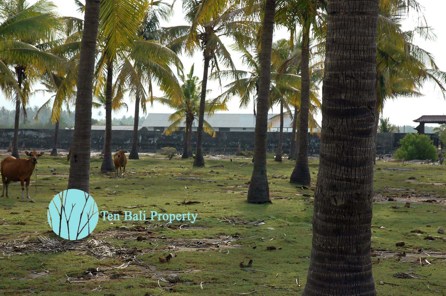 Sumberkima, Singaraja, Bali, ,Land,For Sale,1150