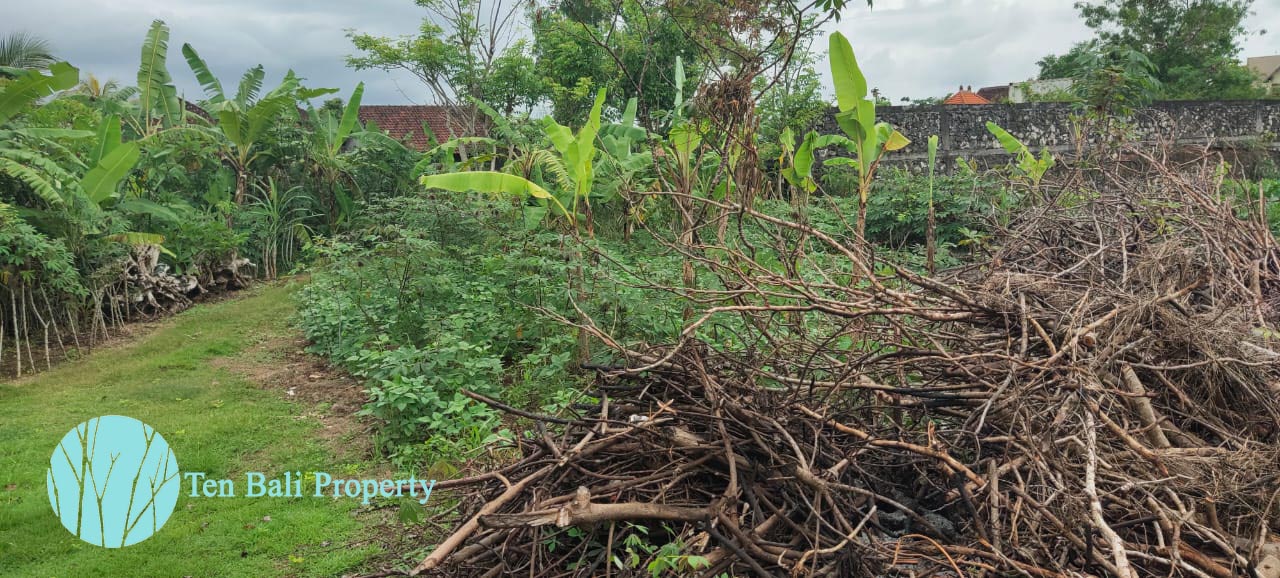 Ungasan, Bali, ,Land,For Sale,1197