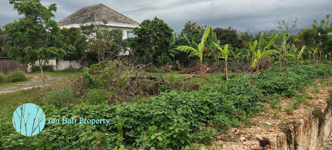 Ungasan, Bali, ,Land,For Sale,1197
