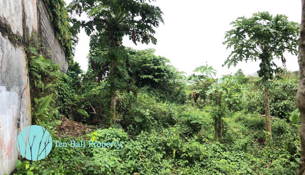 Ungasan, Bali, ,Land,For Sale,1198
