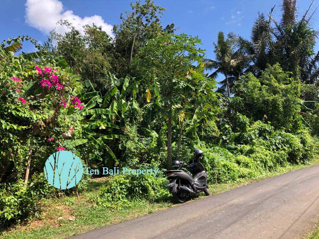 Cepaka, Bali, ,Land,For Sale,1234