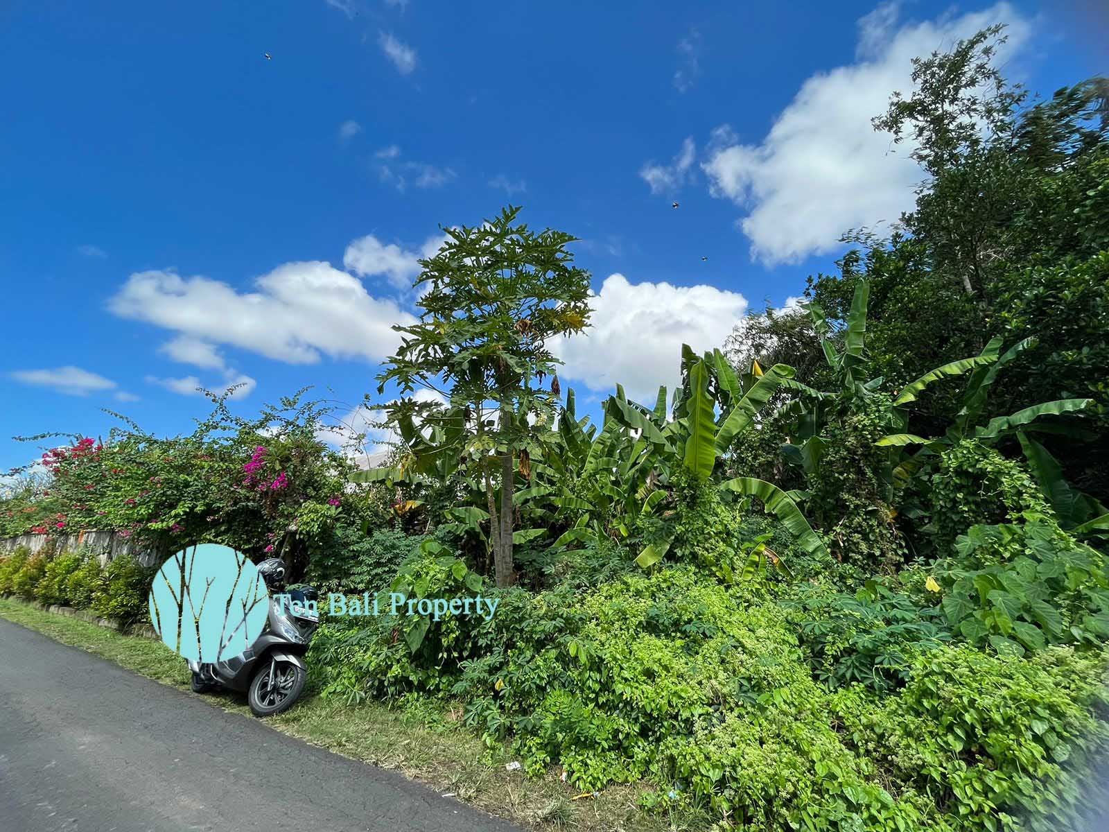 Cepaka, Bali, ,Land,For Sale,1234