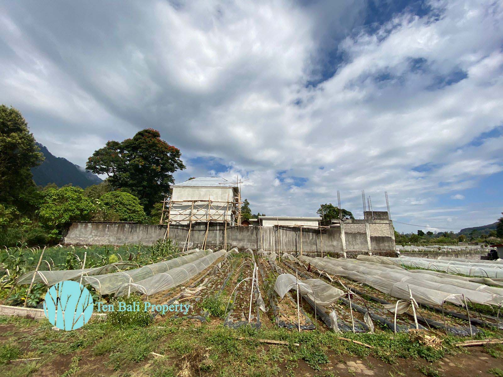 Bedugul, Buleleng, Bali, ,Land,For Sale,1293