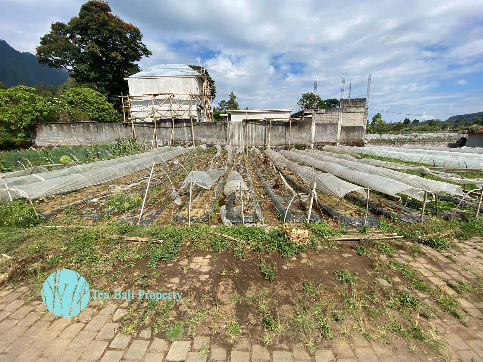 Bedugul, Buleleng, Bali, ,Land,For Sale,1293