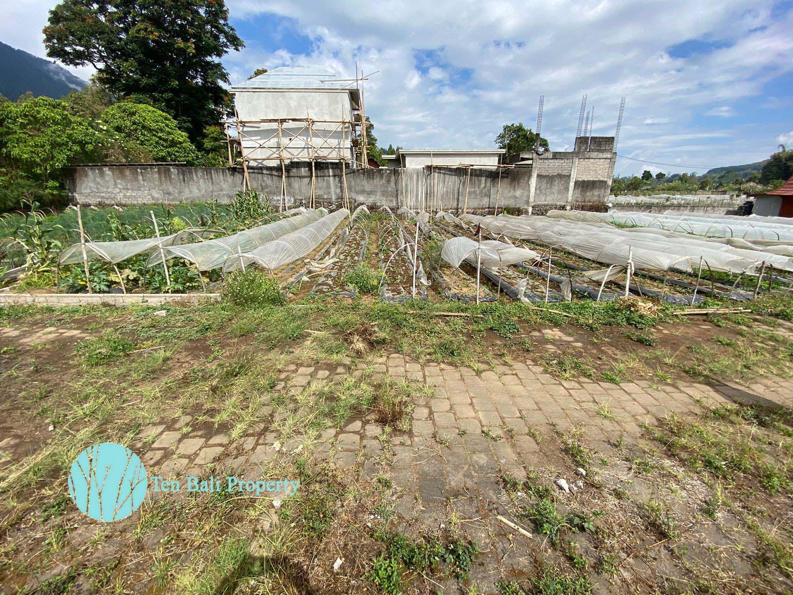 Bedugul, Buleleng, Bali, ,Land,For Sale,1293