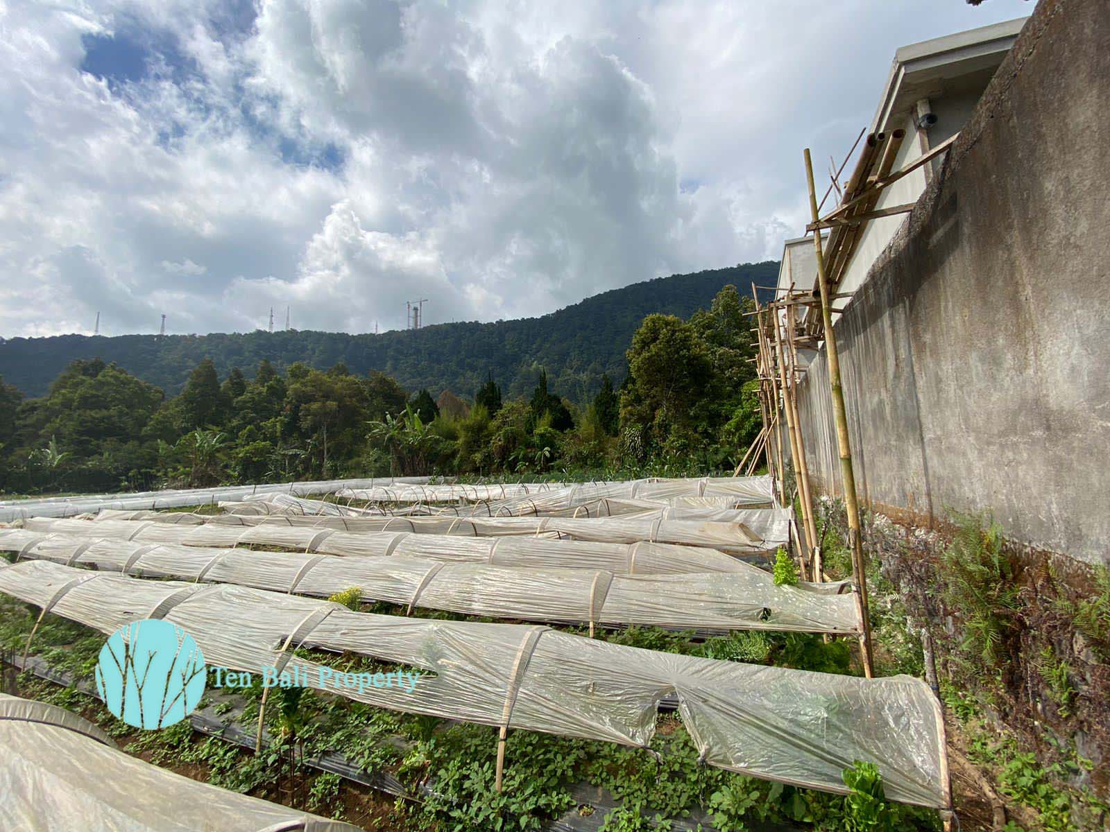 Bedugul, Buleleng, Bali, ,Land,For Sale,1293