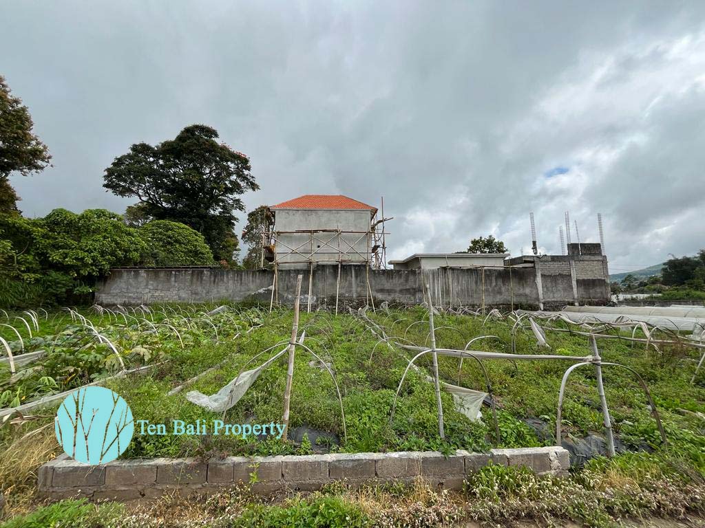Bedugul, Buleleng, Bali, ,Land,For Sale,1293