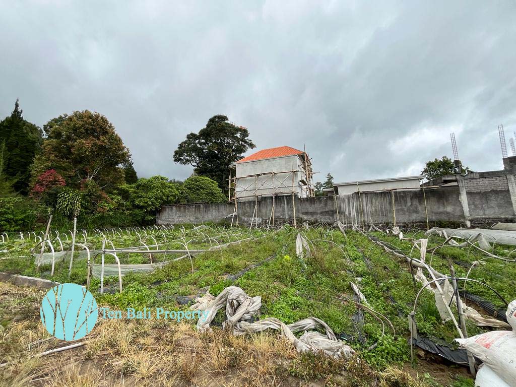 Bedugul, Buleleng, Bali, ,Land,For Sale,1293