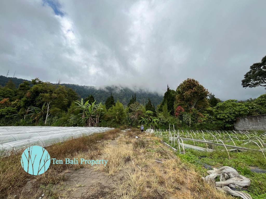 Bedugul, Buleleng, Bali, ,Land,For Sale,1293