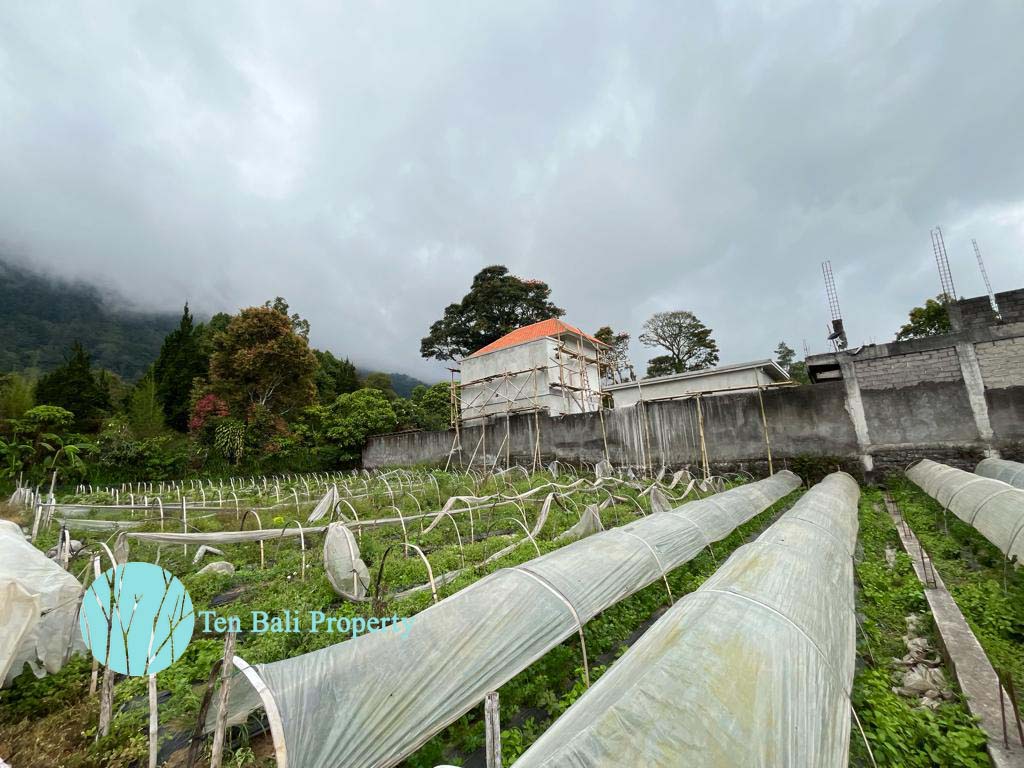 Bedugul, Buleleng, Bali, ,Land,For Sale,1293