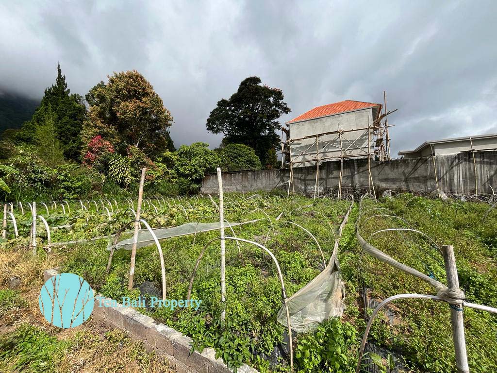 Bedugul, Buleleng, Bali, ,Land,For Sale,1293