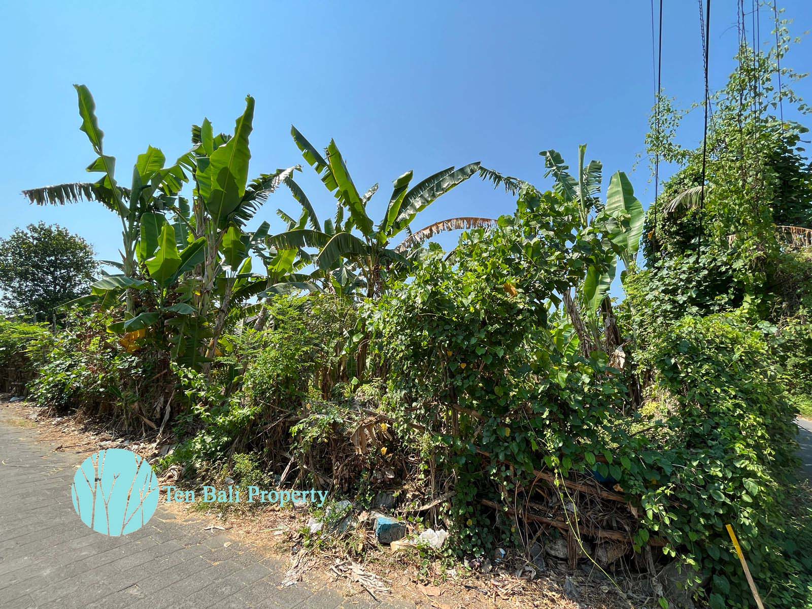 Sanur, Bali, ,Land,For Sale,1297