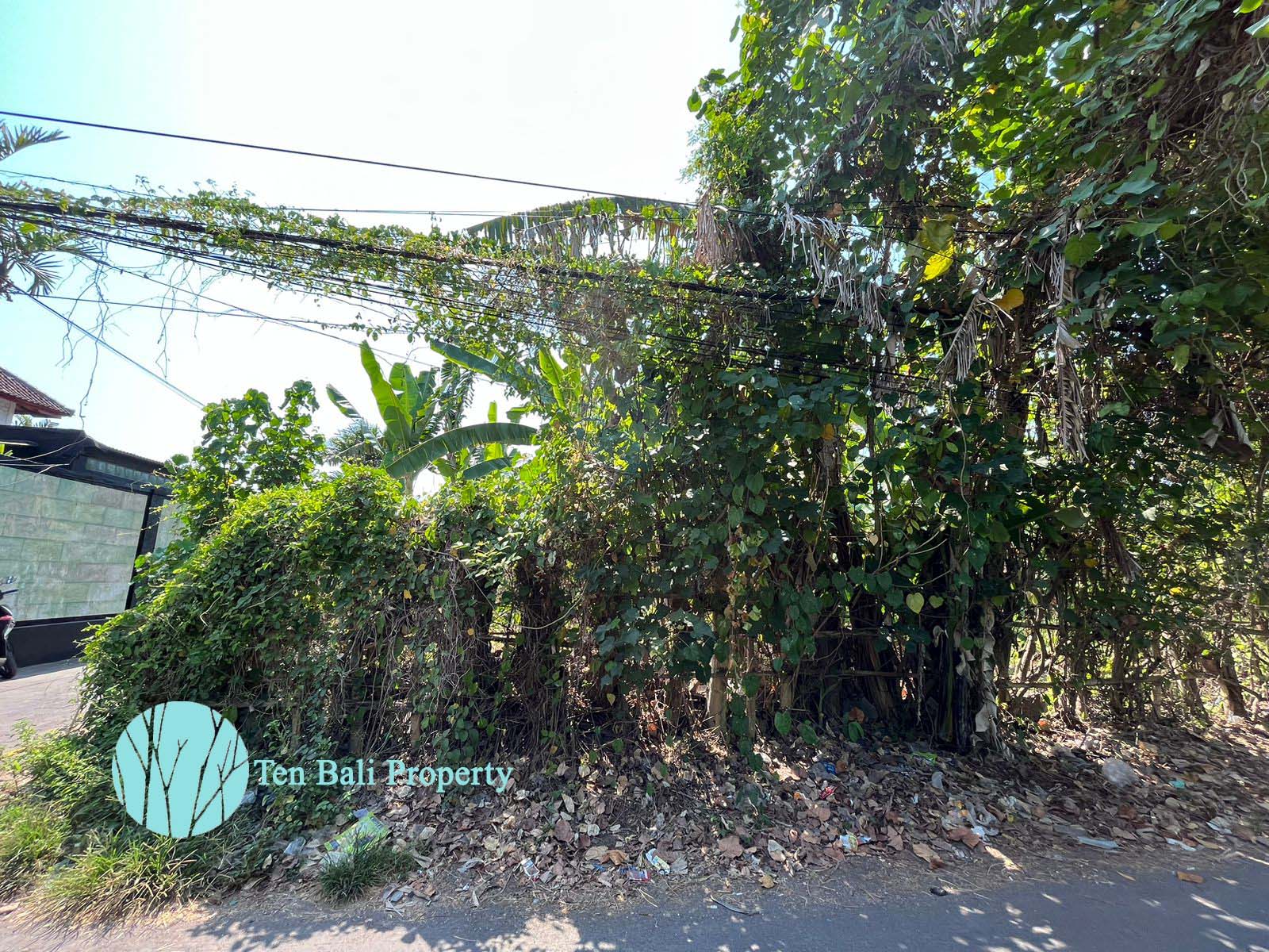 Sanur, Bali, ,Land,For Sale,1297