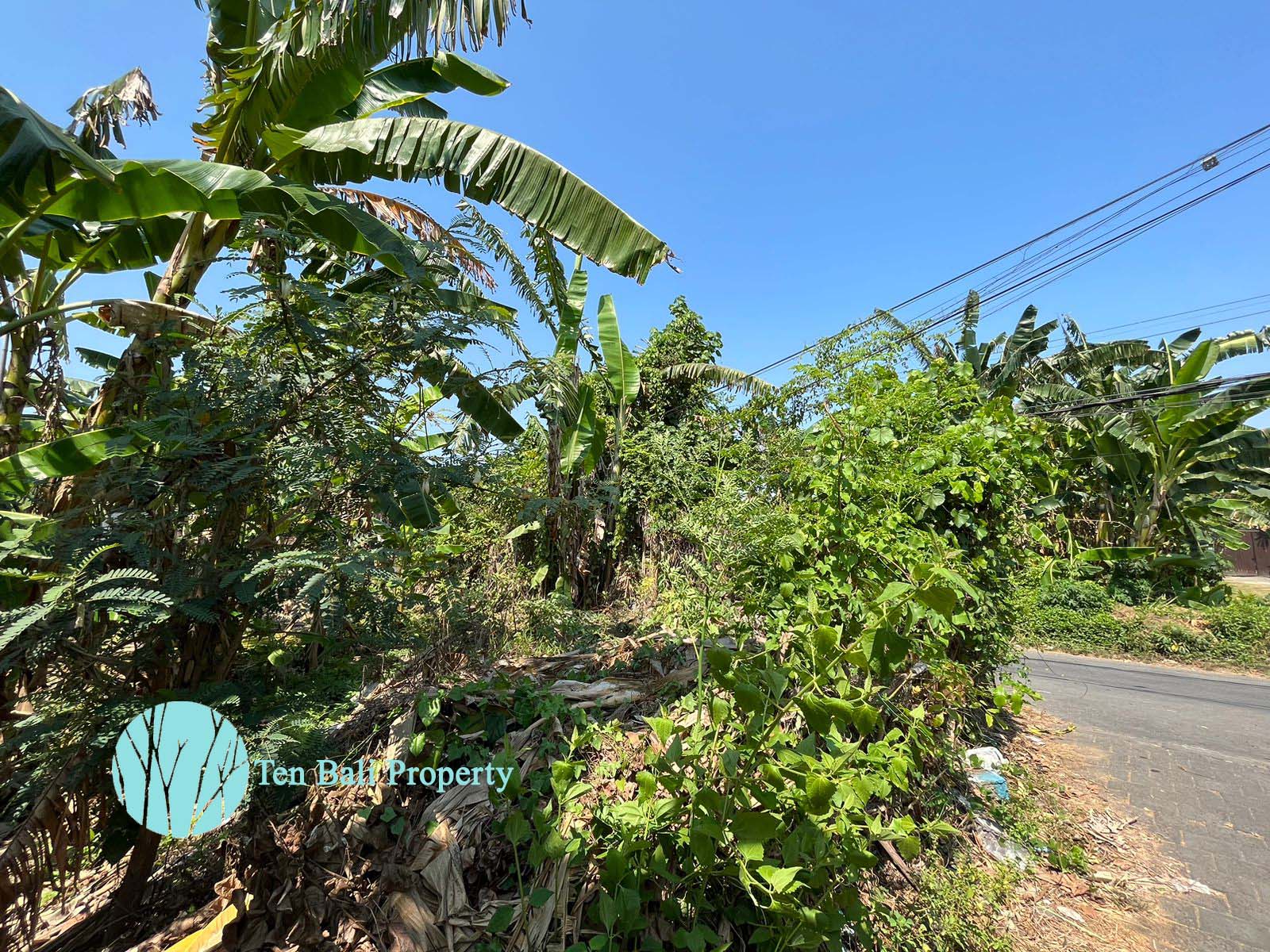 Sanur, Bali, ,Land,For Sale,1297