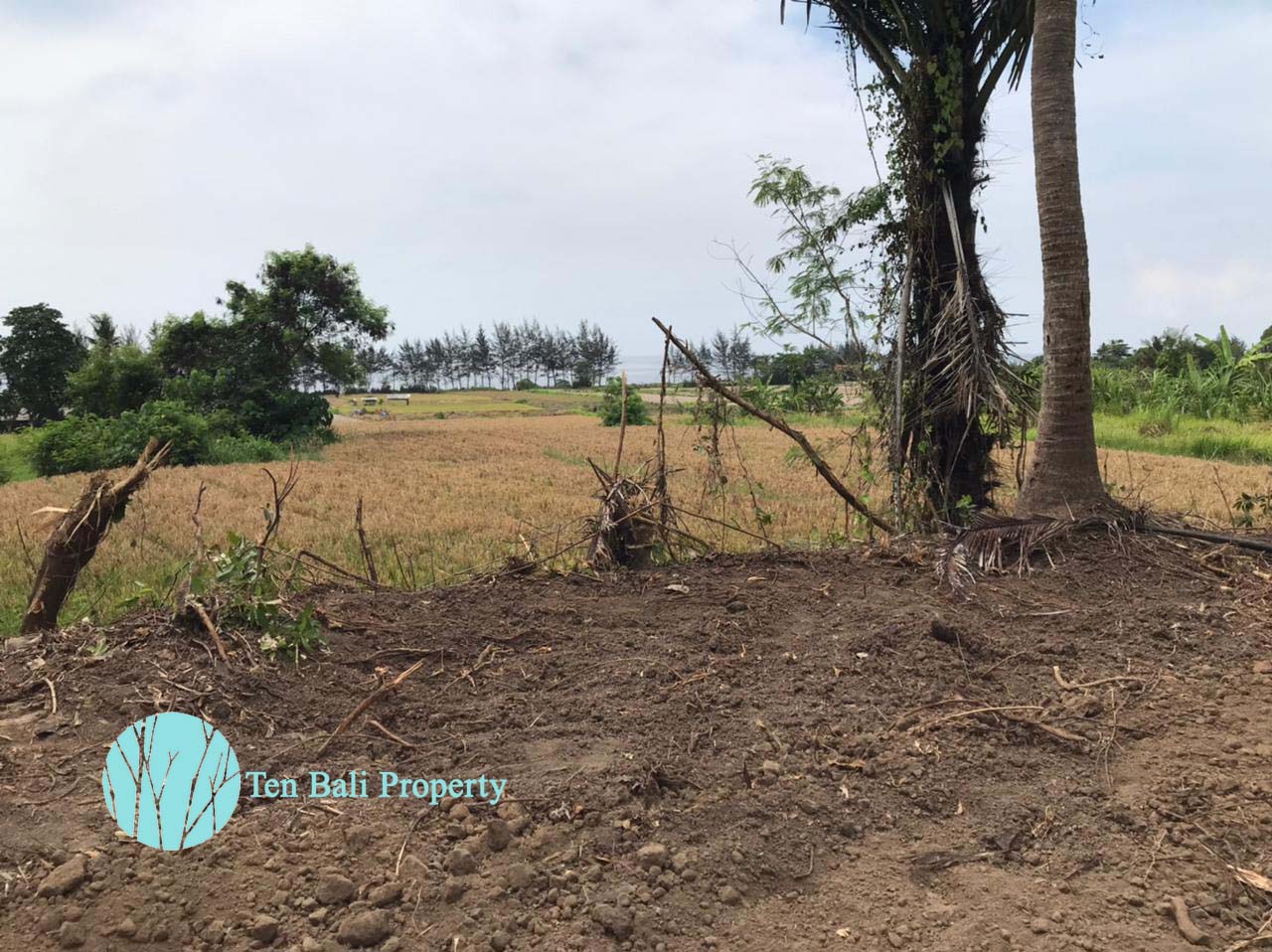 Keramas, Gianyar, Bali, ,Land,For Sale,1352