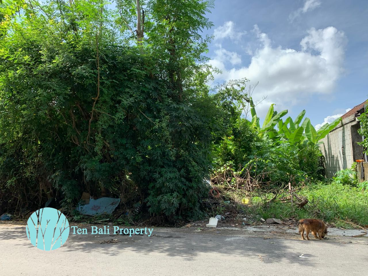Buluh Indah, Denpasar, Bali, ,Land,For Sale,1372