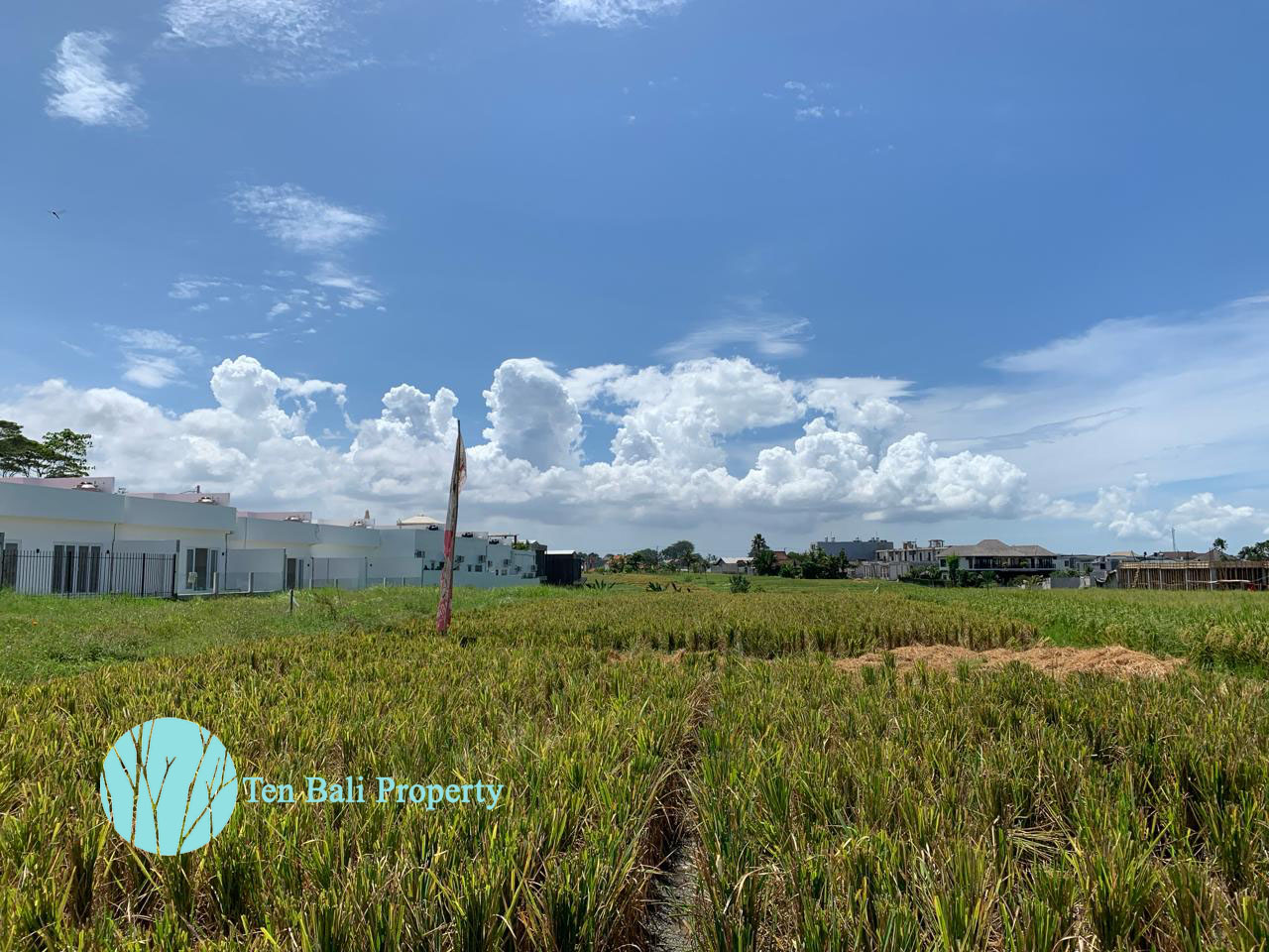 Cemagi, Bali, ,Land,For Sale,1379