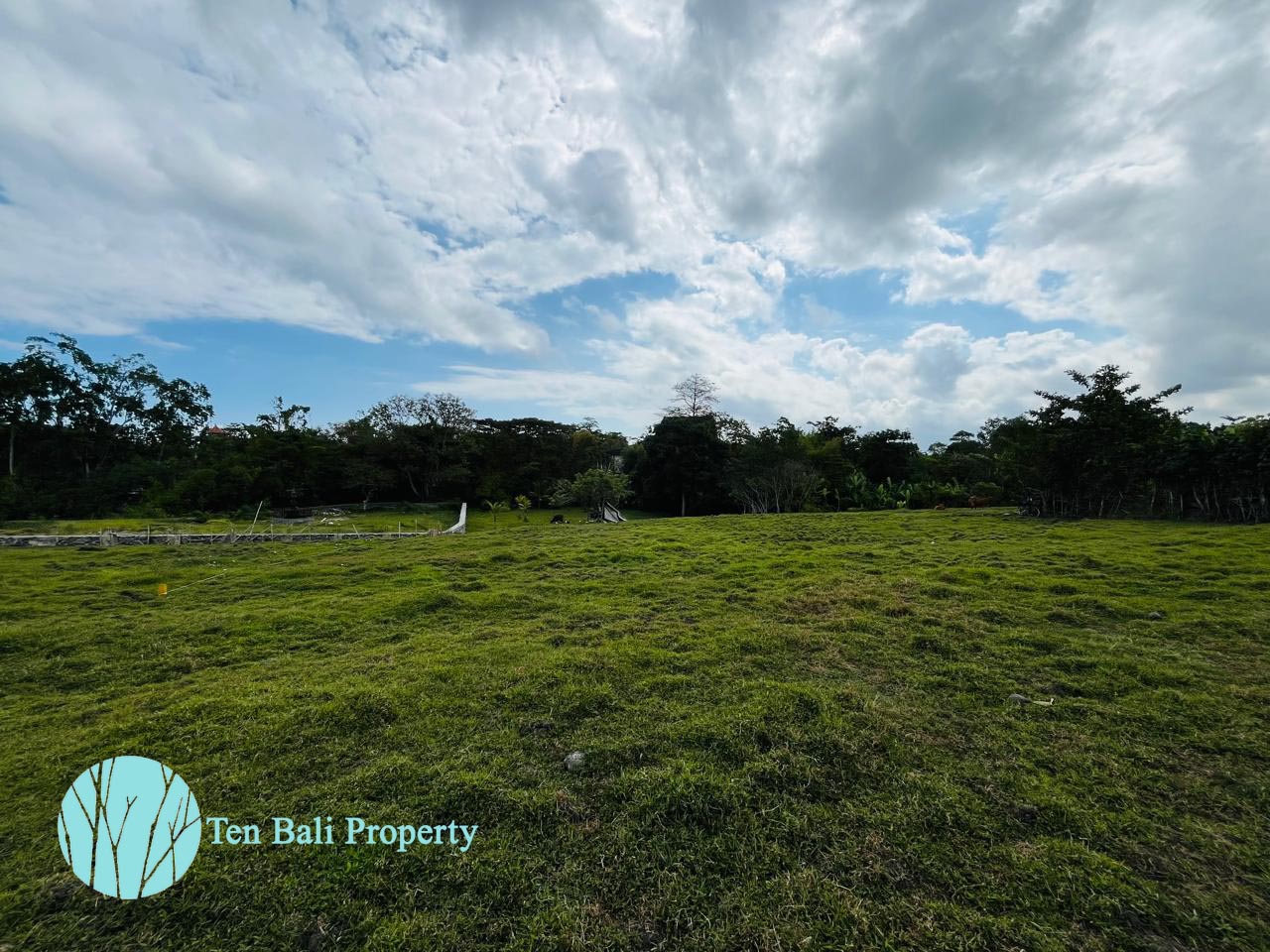 Nyanyi, Munggu, Bali, ,Land,For Sale,1494