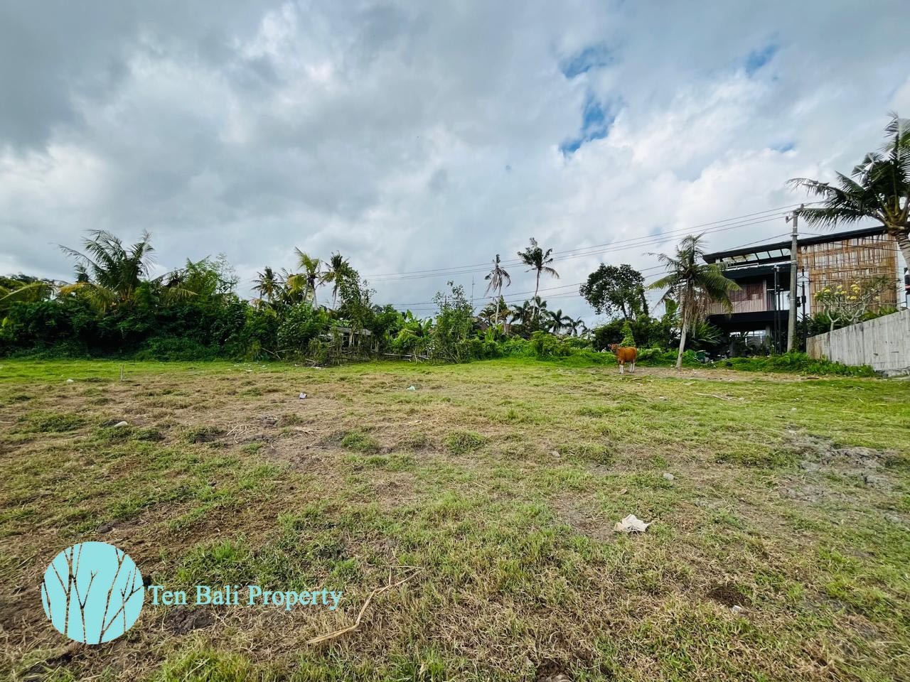 Nyanyi, Munggu, Bali, ,Land,For Sale,1494