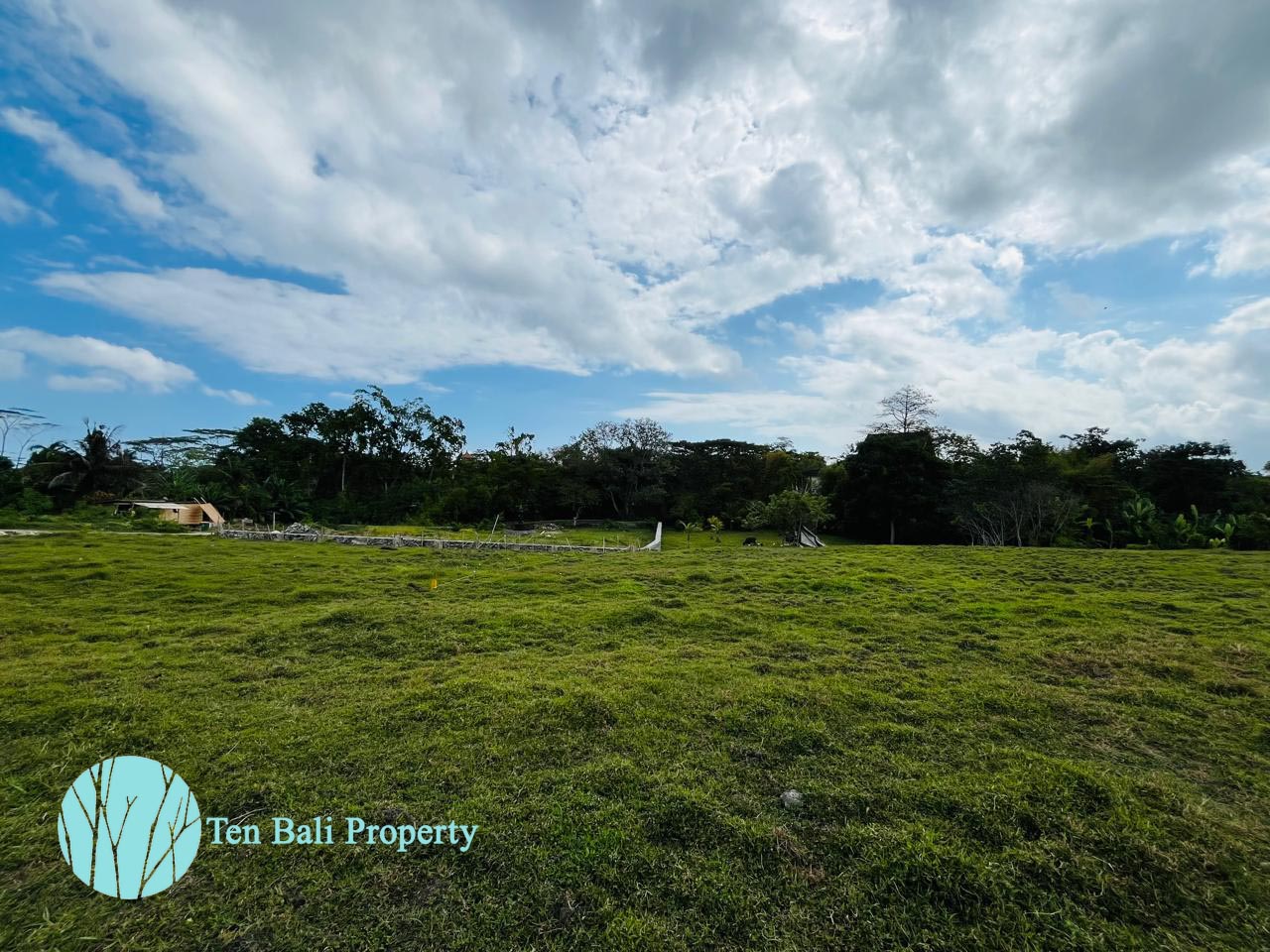 Nyanyi, Munggu, Bali, ,Land,For Sale,1494