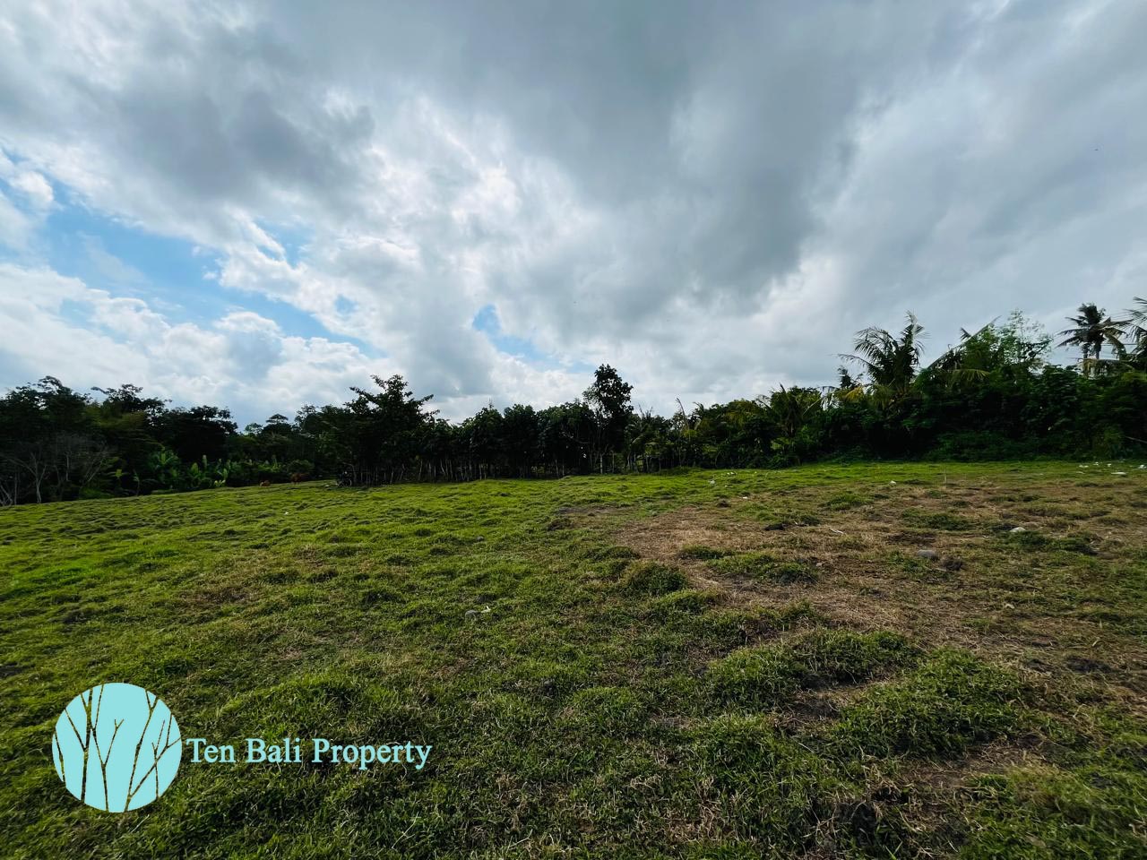 Nyanyi, Munggu, Bali, ,Land,For Sale,1494
