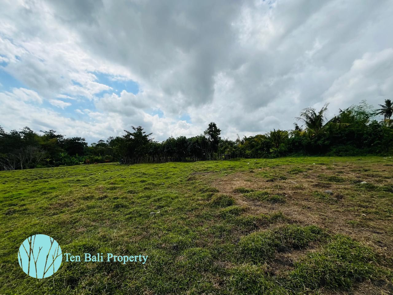 Nyanyi, Munggu, Bali, ,Land,For Sale,1494