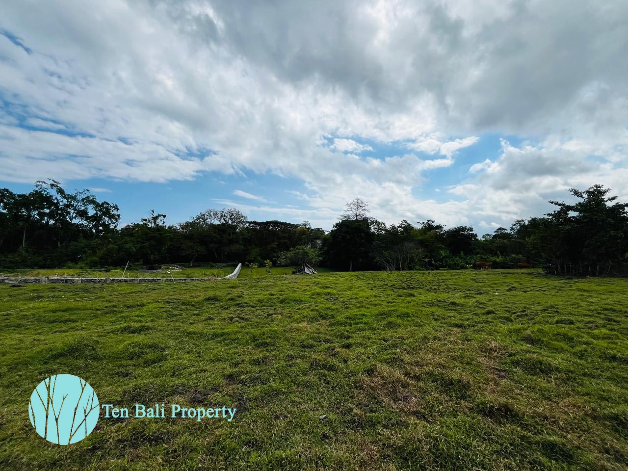 Nyanyi, Munggu, Bali, ,Land,For Sale,1494