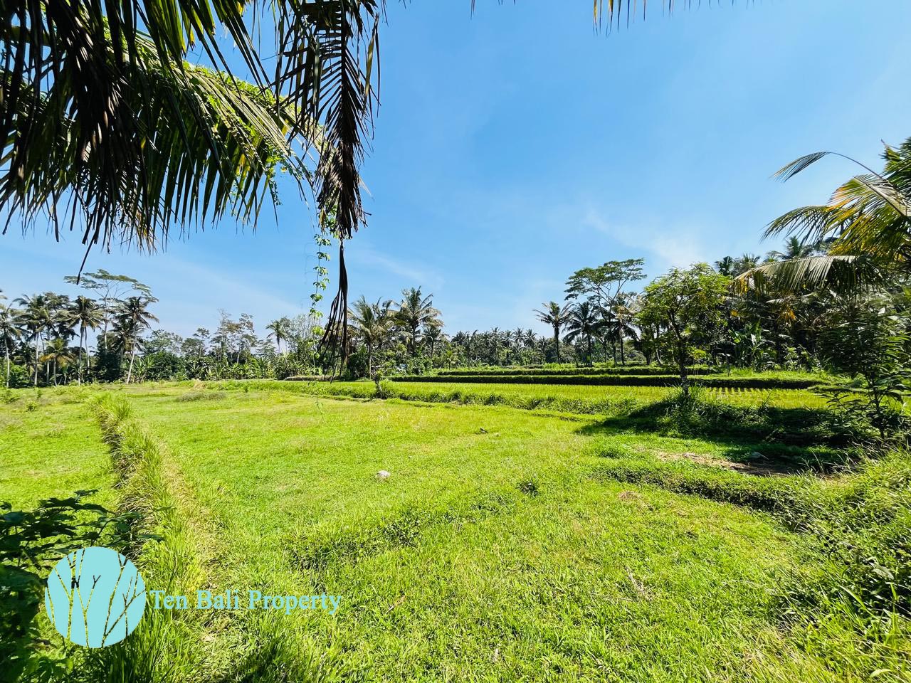 Pejeng, Ubud, Bali, ,Land,For Sale,1511