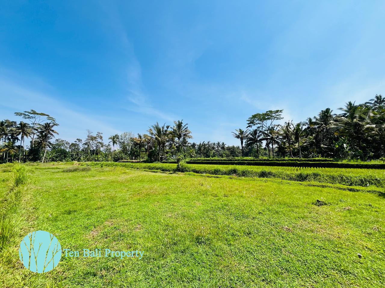 Pejeng, Ubud, Bali, ,Land,For Sale,1511