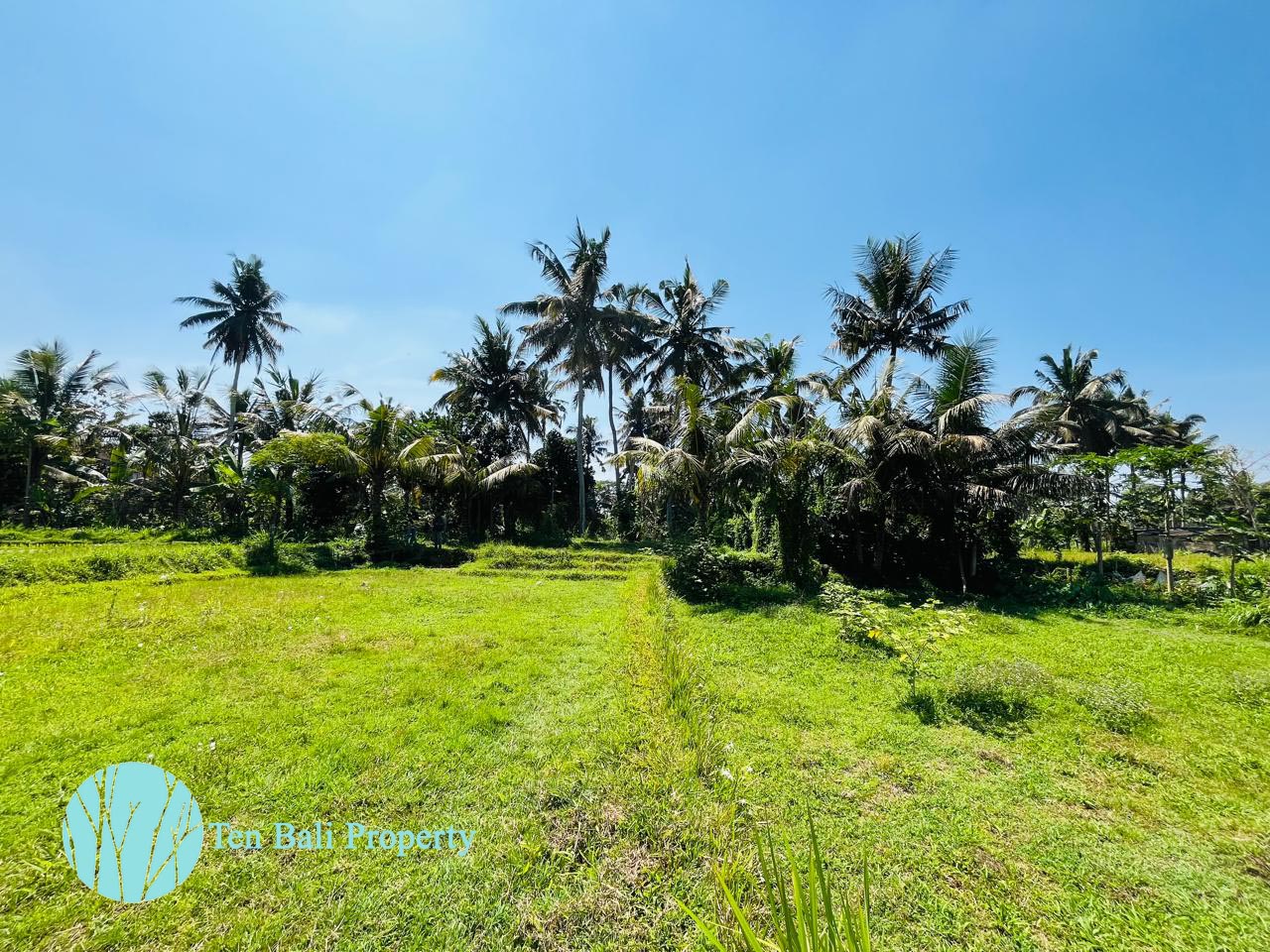 Pejeng, Ubud, Bali, ,Land,For Sale,1511