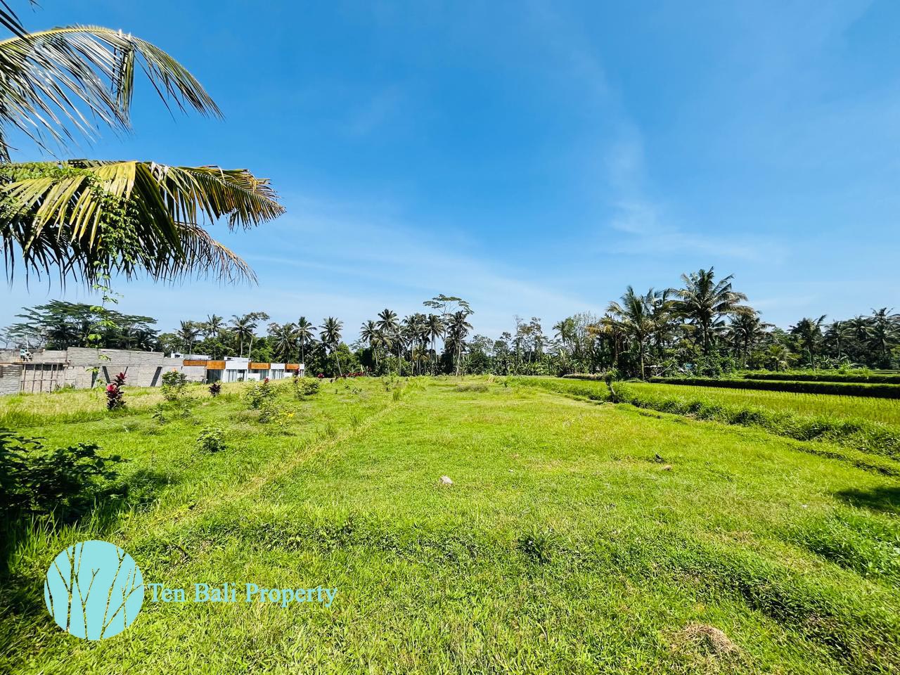 Pejeng, Ubud, Bali, ,Land,For Sale,1511