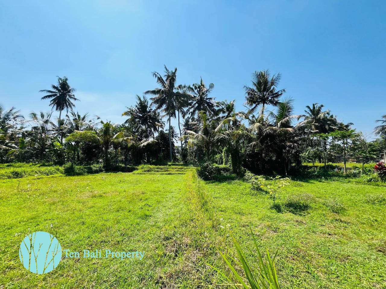 Pejeng, Ubud, Bali, ,Land,For Sale,1511