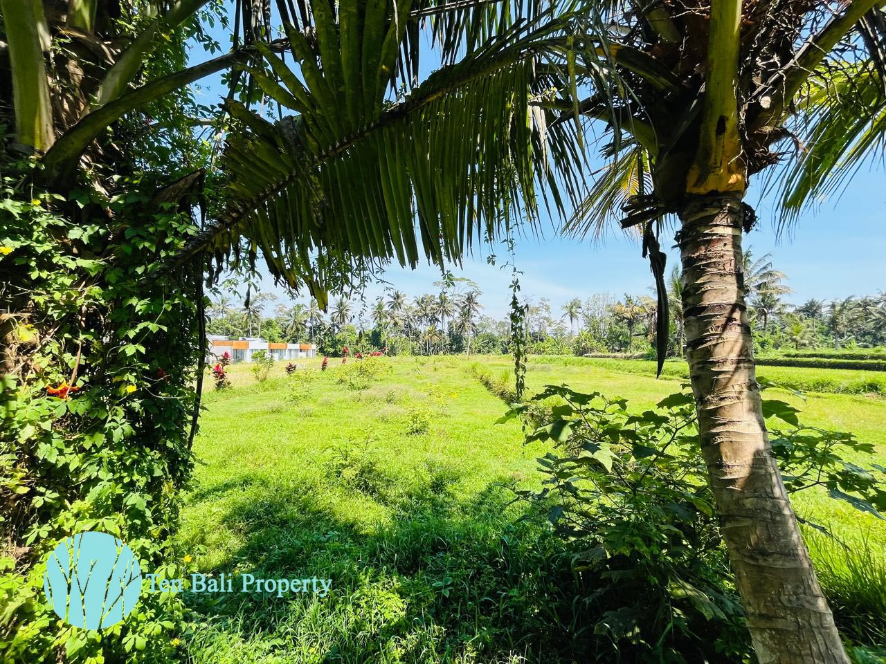 Pejeng, Ubud, Bali, ,Land,For Sale,1511
